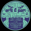 Buy Trinity Carbon - Downfall Of The Nemesis Mp3 Download