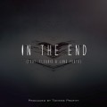 Buy Tommee Profitt - In The End (CDS) Mp3 Download