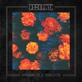 Buy Obsolete - Animate//Isolate Mp3 Download