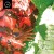 Buy The Koreatown Oddity - Finna Be Past Tense Mp3 Download