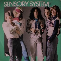 Purchase Sensory System - What We Are (Vinyl)