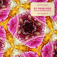 Purchase Calvin Harris - By Your Side (Feat. Tom Grennan) (Oliver Heldens Remix) (CDS)