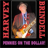 Purchase Harvey Brindell - Pennies On The Dollar!
