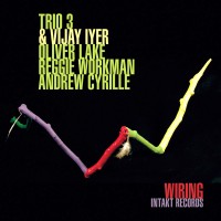 Purchase Trio 3 & Vijay Iyer - Wiring