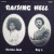 Purchase Norma Jean & Ray J.- Raising Hell (Vinyl) MP3