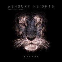 Purchase Ashbury Heights - Wild Eyes (CDS)