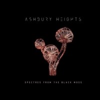 Purchase Ashbury Heights - Spectres From The Black Moss (CDS)