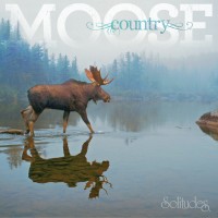 Purchase Dan Gibson - Moose Country