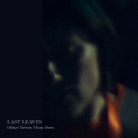 Purchase Last Leaves - Other Towns Than Ours