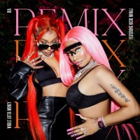 Purchase Bia - Whole Lotta Money (Feat. Nicki Minaj) (Remix) (CDS)