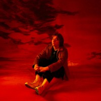Purchase Lewis Capaldi - Hold Me While You Wait (Steve Void Remix) (CDS)