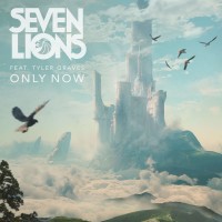 Purchase Seven Lions - Only Now (Feat. Tyler Graves) (CDS)