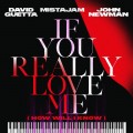 Buy David Guetta - If You Really Love Me (How Will I Know) (With Mistajam & John Newman) (CDS) Mp3 Download