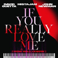 Purchase David Guetta - If You Really Love Me (How Will I Know) (With Mistajam & John Newman) (CDS)