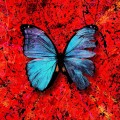 Buy Ed Sheeran - Visiting Hours (CDS) Mp3 Download