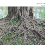 Purchase Pyramid Peak - Roots