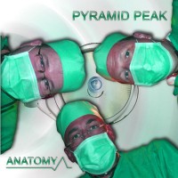 Purchase Pyramid Peak - Anatomy