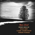 Buy Bruno Angelini - Open Land Mp3 Download