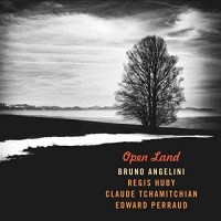 Purchase Bruno Angelini - Open Land