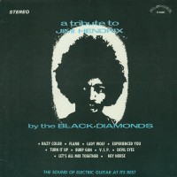 Purchase The Black Diamonds - A Tribute To Jimi Hendrix