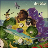 Purchase Dowdelin - Carnaval Odyssey