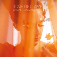 Purchase Josienne Clarke - A Small Unknowable Thing