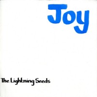 Purchase Lightning Seeds - Joy (VLS)