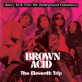 Buy VA - Brown Acid: The Eleventh Trip (Heavy Rock From The Underground Comedown) Mp3 Download