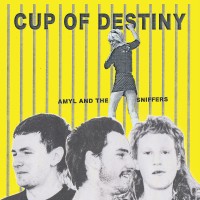 Purchase Amyl And The Sniffers - Cup Of Destiny (CDS)