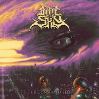 Purchase Burial In The Sky - The Consumed Self