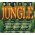 Buy VA - Best Of Jungle CD1 Mp3 Download