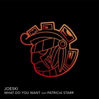 Purchase Joeski & Patricia Starr - What Do You Want (CDS)