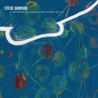 Purchase Steve Dawson - At The Bottom Of A Canyon In The Branches Of A Tree