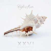 Purchase VA - Café Del Mar XXVI (Vol. 26) CD1