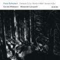 Buy Carolin Widmann - F. Schubert: Fantasie C-Dur / Rondo H-Moll / Sonate A-Dur Mp3 Download