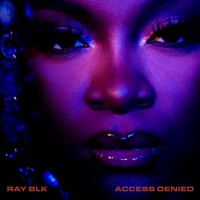 Purchase Ray Blk - Access Denied