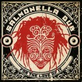 Buy Salmonella Dub - For The Love Of It Mp3 Download