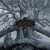 Buy Mastodon - Hushed And Grim Mp3 Download
