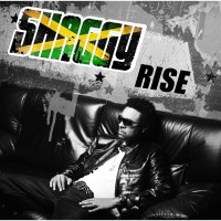 Purchase Shaggy - Rise