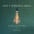 Buy Reuben And The Dark - What A Wonderful World (Acoustic) (Feat. Trvstfall) (CDS) Mp3 Download