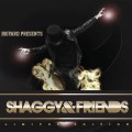 Buy Shaggy - Shaggy & Friends Mp3 Download