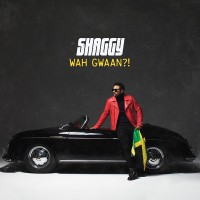 Purchase Shaggy - Wah Gwaan?!