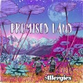 Buy The Allergies - Promised Land Mp3 Download