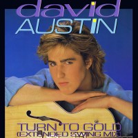 Purchase David Austin - Turn To Gold (EP) (Vinyl)