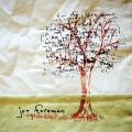 Buy Jon Foreman - Limbs & Branches Mp3 Download