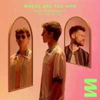 Purchase Lost Frequencies - Where Are You Now (With Calum Scott ) (CDS)