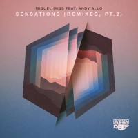 Purchase Miguel Migs - Sensations Remixes Pt. 2 (Feat. Andy Allo)