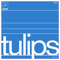 Purchase Maston - Tulips