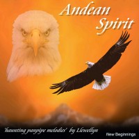 Purchase Llewellyn - Andean Spirit