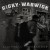 Buy Ricky Warwick - Stairwell Troubadour Mp3 Download